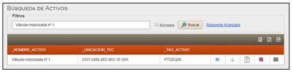 Imagen 2.21. Búsqueda de Activos
